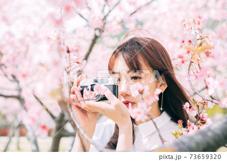 河津桜の写真を撮る若い女性 73659320