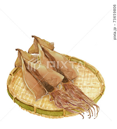 水彩:ザルにのせたスルメイカ2枚 干物 乾物 イカ 素材 白バック コピースペースあり 透過 水彩:ザルにのせたスルメイカ2枚 干物 乾物 イカ 素材 白バック コピースペースあり 透過 73659806