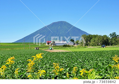 羊蹄山（北海道） 73659842