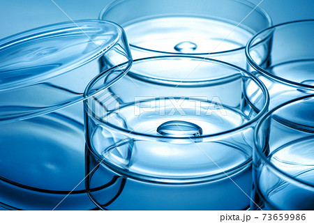 ガラス グラス ガラス製 73659986