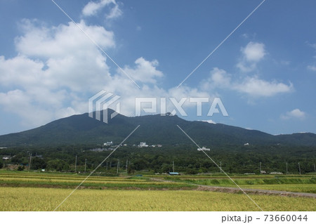 秋の実りと筑波山 秋の実りと筑波山 73660044