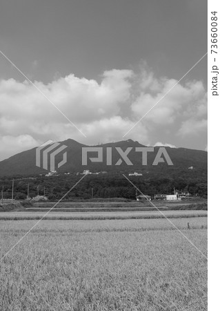 秋の田んぼと筑波山 秋の田んぼと筑波山 73660084