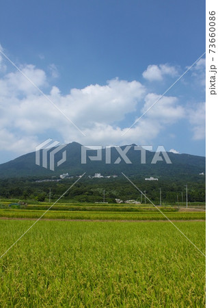 秋の田んぼと筑波山 秋の田んぼと筑波山 73660086