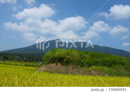 秋の田んぼと筑波山 秋の田んぼと筑波山 73660091