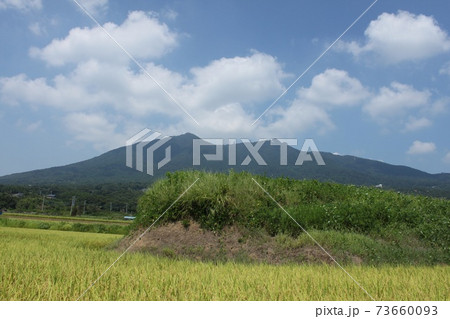 秋の田んぼと筑波山 秋の田んぼと筑波山 73660093