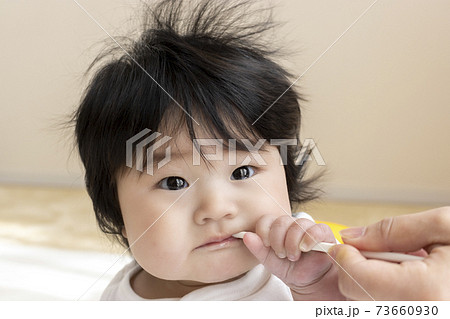 離乳食を食べる赤ちゃん 0歳 生後6カ月 女の子 日本人 の写真素材