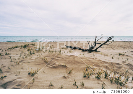 Lonely beach in the delta del ebro, tarragona, spain. 73661000