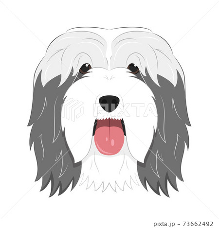 Cartoon Dog png download - 1400*1356 - Free Transparent Bearded Collie png  Download. - CleanPNG / KissPNG