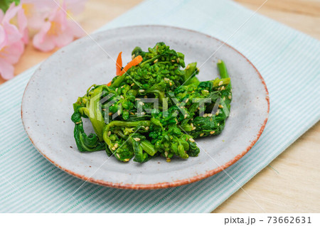 菜花のからし和え 菜花のからし和え 73662631