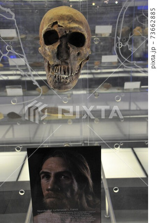 南アフリカ、スタークフォンテン洞窟、マロペン・ビジター・センター 南アフリカ、スタークフォンテン洞窟、マロペン・ビジター・センター 73662885