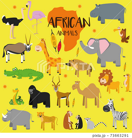 Vector set African animals. Ostrich, flamingo, oryx gazelle, impala, giraffe, crocodile, snake, gorilla, rhino, cheetah, monkey, chimpanzee, lemur, zebra, camel, dromedary, hyena, elephant, lion, 73663291