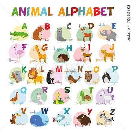 Cute cartoon zoo illustrated alphabet with... - Stock Illustration  [73663832] - PIXTA