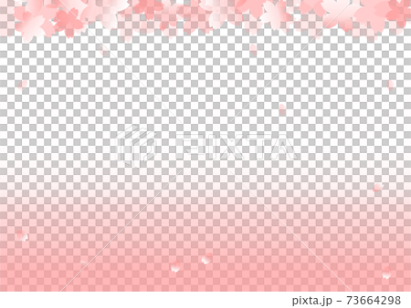 桜の背景　ピンク　A4　コピースペース　有　白　バック　チラシ　フライヤー　三つ折り　春　年賀　素材 73664298