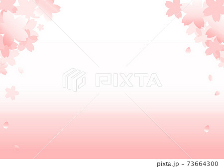 桜の背景　ピンク　和　A4　コピースペース　有　白　バック　チラシ　フライヤー　花　春　年賀　素材 73664300