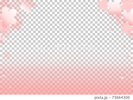 桜の背景　ピンク　和　A4　コピースペース　有　白　バック　チラシ　フライヤー　花　春　年賀　素材 73664300