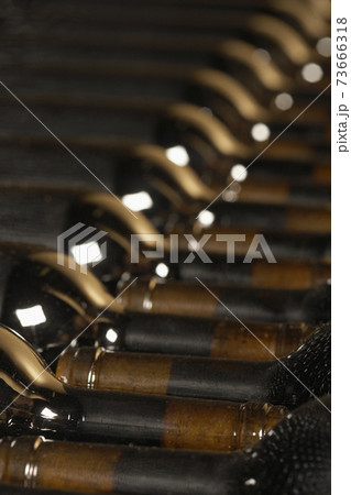 Wine Bottles In The Cellar 73666318