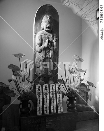 蓮根馬頭観音 73666347