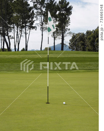 Golf Flag And Ball On Course 73666348