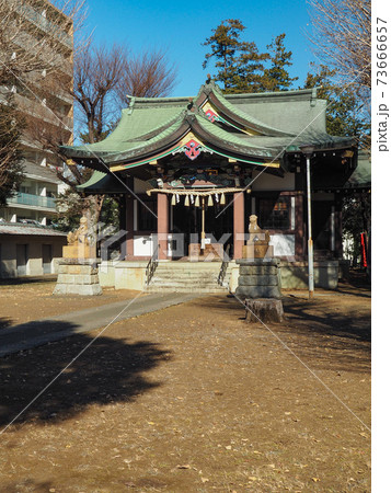 蓮根氷川神社 蓮根氷川神社 73666657