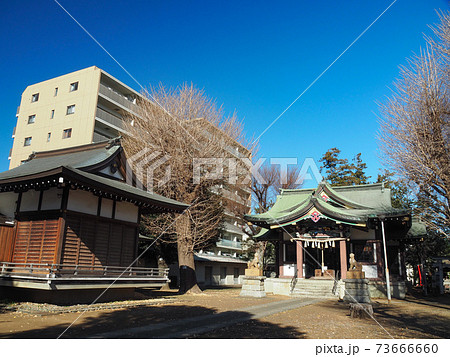 蓮根氷川神社 73666660