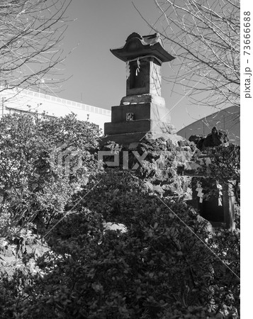 蓮根氷川神社の御嶽塚 73666688