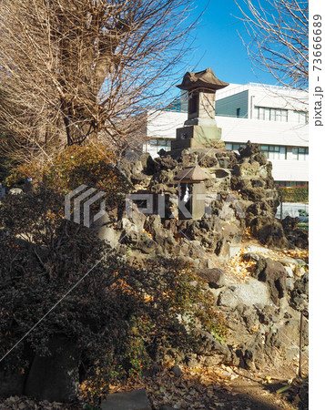 蓮根氷川神社の御嶽塚 蓮根氷川神社の御嶽塚 73666689