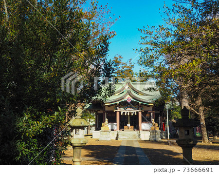 蓮根氷川神社 73666691