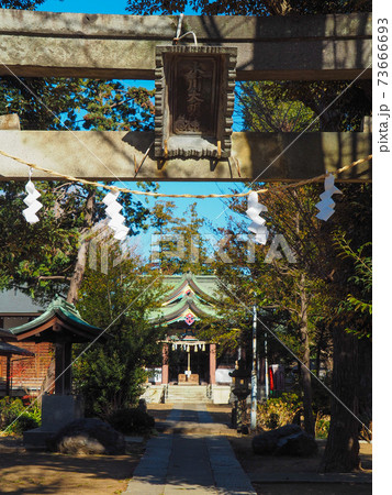 蓮根氷川神社 73666693