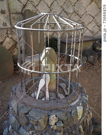 西台天祖神社・おしわぶきさま 西台天祖神社・おしわぶきさま 73666859