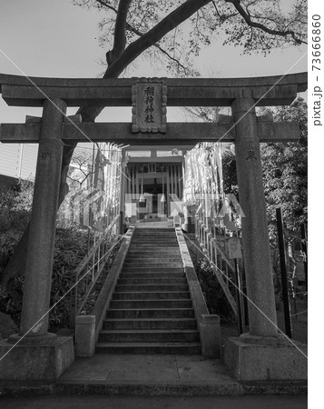 西台天祖神社・稲荷神社 西台天祖神社・稲荷神社 73666860