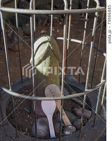 西台天祖神社・おしわぶきさま 西台天祖神社・おしわぶきさま 73666885