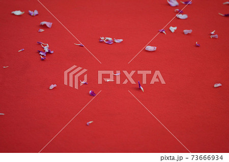 式後のバージンロード。 73666934