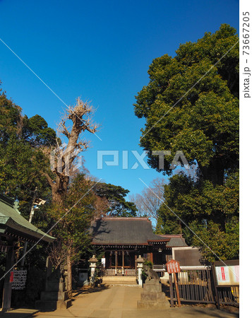 志村熊野神社 志村熊野神社 73667205