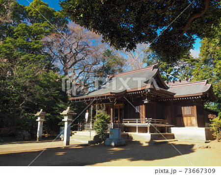 志村熊野神社 志村熊野神社 73667309