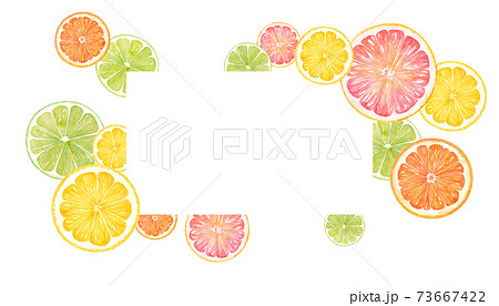 シトラスの輪切りの水彩イラスト オレンジ レモン グレープフルーツ ライムのフレームデザイン のイラスト素材