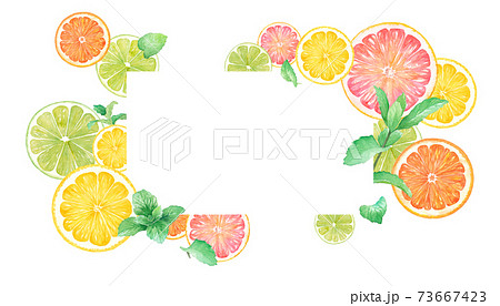 シトラスとミントの水彩イラスト オレンジ レモン グレープフルーツ ライムのフレームデザイン のイラスト素材