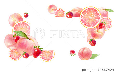 フレッシュなピンクのフルーツで構成したフレームデザイン 桃 イチゴ グレープフルーツの水彩イラスト のイラスト素材