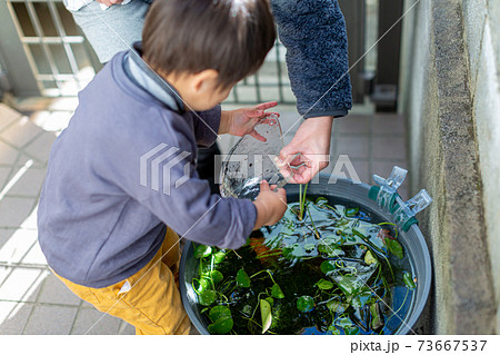 氷で遊ぶ男児 73667537