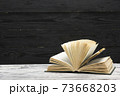 Composition with vintage old hardback books, diary, fanned pages on wooden deck table and red background. Books stacking. Back to school. Copy Space. Education background. 73668203
