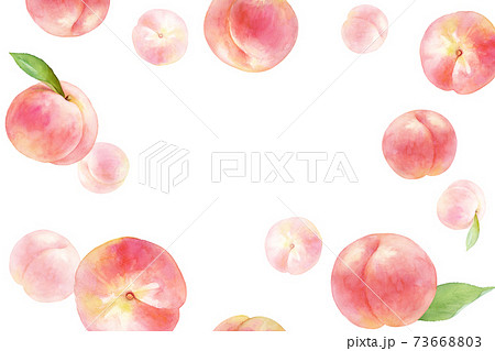ジューシーな桃の背景 水彩イラスト コピースペースあり のイラスト素材