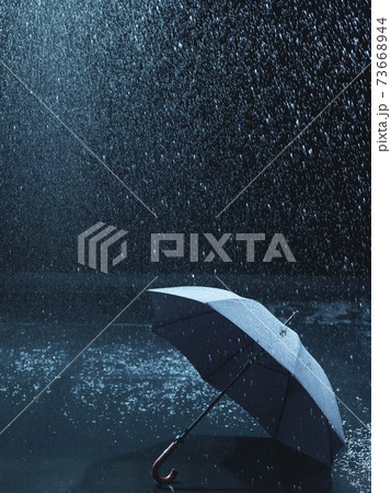 Lost Umbrella Lost Umbrella 73668944