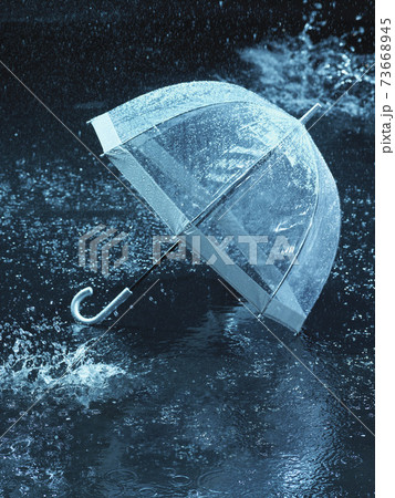 Lost Umbrella Lost Umbrella 73668945