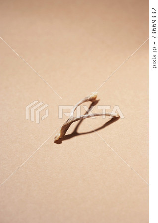 Still life stock photography Still life stock photography 73669332