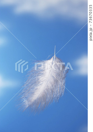 Floating Feather 73670335