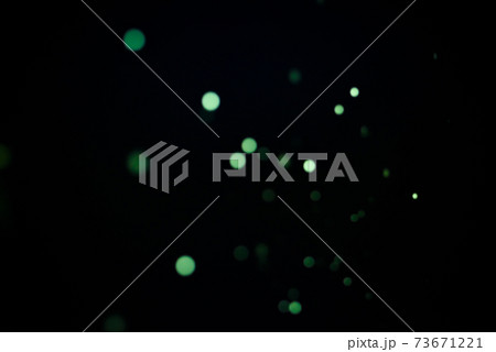 ひかりの写真 73671221