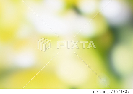 ひかりの写真 ひかりの写真 73671387