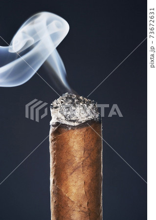 Burning Cigar Burning Cigar 73672631