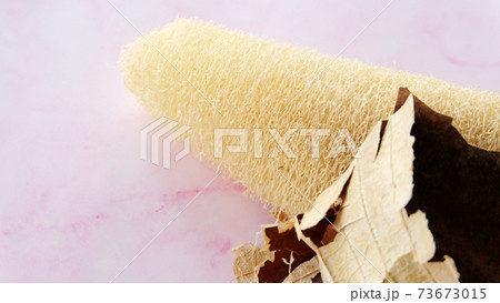 Closeup of a dried luffa plant with the skin peeled away revealing the fibrous loofah inside. With pink marble background. Closeup of a dried luffa plant with the skin peeled away revealing the fibrous loofah inside. With pink marble background. 73673015