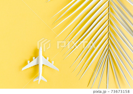 White model plane, airplane and palm leaf on yellow background. Top view, flat lay. Travel, vacation concept. 73673158