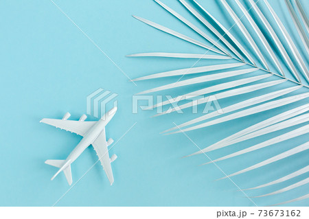 White model plane, airplane and palm leaf on blue background. Top view, flat lay. White model plane, airplane and palm leaf on blue background. Top view, flat lay. 73673162